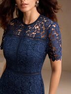 Anewsta Vestido Feminino de Manga Curta Bege com Painel Plissado, Splice de Renda Elegante e Gracioso