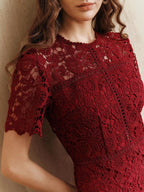 Anewsta Vestido Feminino de Manga Curta Bege com Painel Plissado, Splice de Renda Elegante e Gracioso